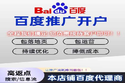 竞价排名成功案例分享